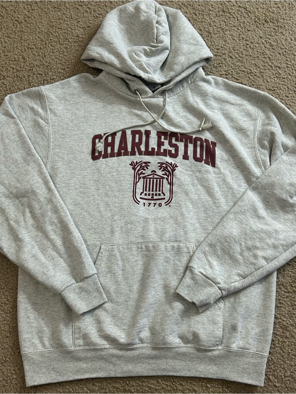 College of Charleston Hoodie Mens Medium Grey Pullover Sweatshirt Champion